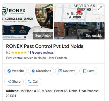 Local Service Business — Google Maps profile